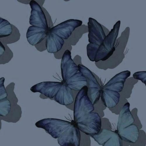 افغانی دلدار به من گفت که چرا غمگینی این سوال ببین