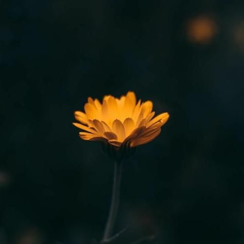 اون خاک حافظ و رومی برا هر کسی بارزه تومی