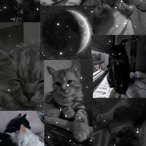 برمگردی دیگه ..نی اگه گذاشتی کردن مفپرم چی با صدای دختر اینستایی