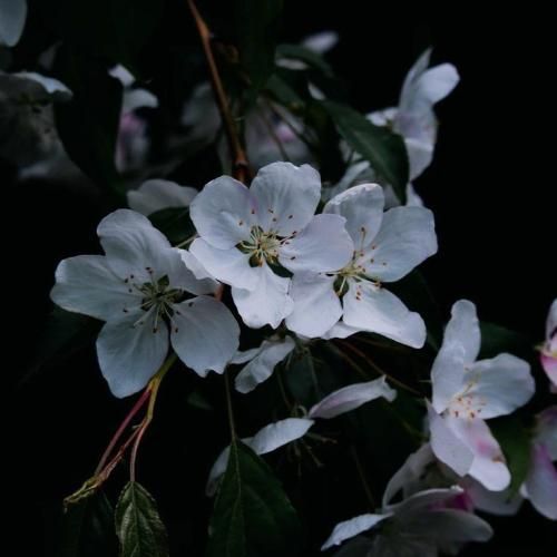  میگم نده منو آزارم گوش نمیده به من