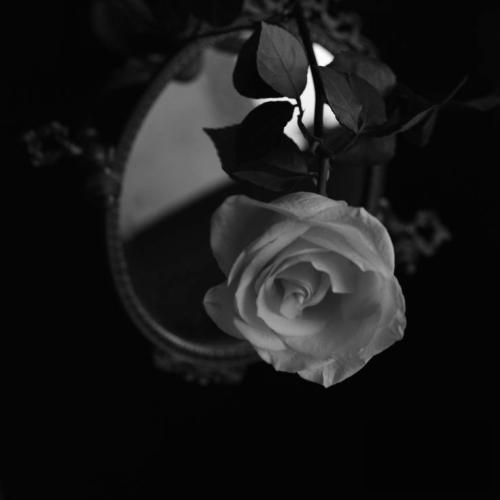 دارم ستاره دنباله دار رو میبینم امید و عشق باشه