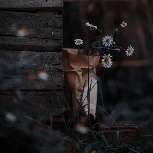 صدات صدا بود وقتیکه می خوندی کار روزگار بود