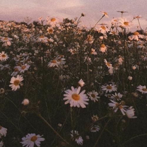 صدتا سنگ صندوق ریختیم بهم شهرو اکیپم که بازم هنگور