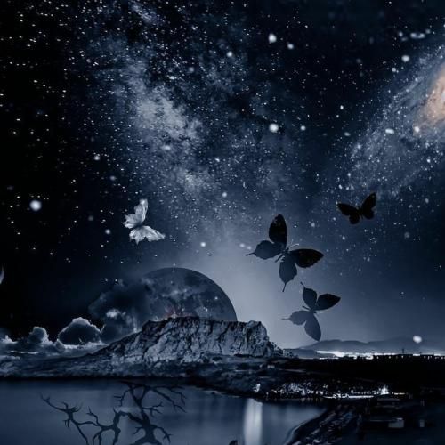   با تو پایه سفرم دلم میخواد تورو پاتایا ببرم