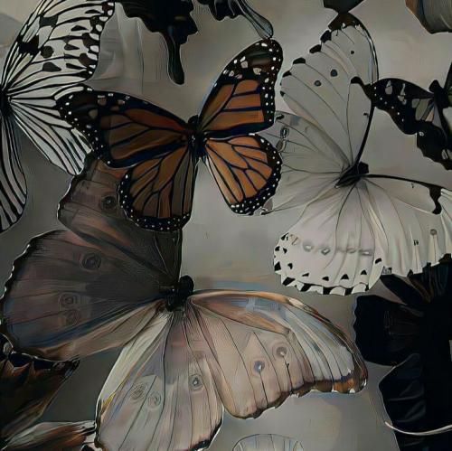 این جهان ما را صدا کرد روزگار با ما چه ها کرد