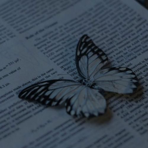 شیراز با کی سلام سلام نیشان تاشی سلام سلام