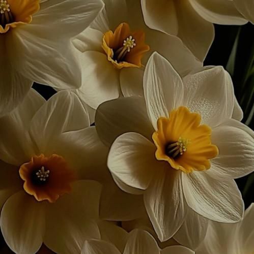 الو صدا بد بد میاد ترند اینستایی