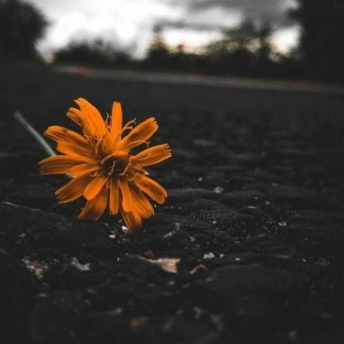 آهای آدم بده خوشحالی میبینی من انقد حالم بده