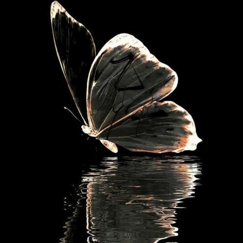  دوست دارم‌ مث ی قایق باشم توی آب تنها