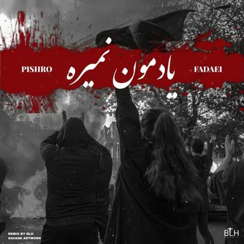 بی ال اچ یادمون نمیره