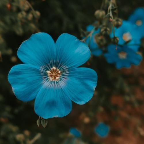  همه درداتو بده من تو بیا عشقم امشبو برقص بام