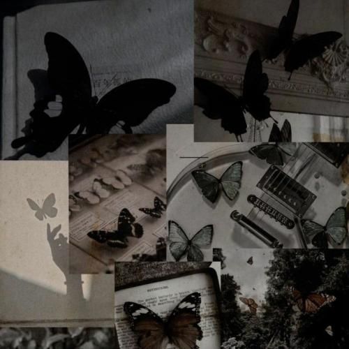 دخترت شده دختر کی قلبمو فروختی مفت سر چی با صدای دختر اینستایی