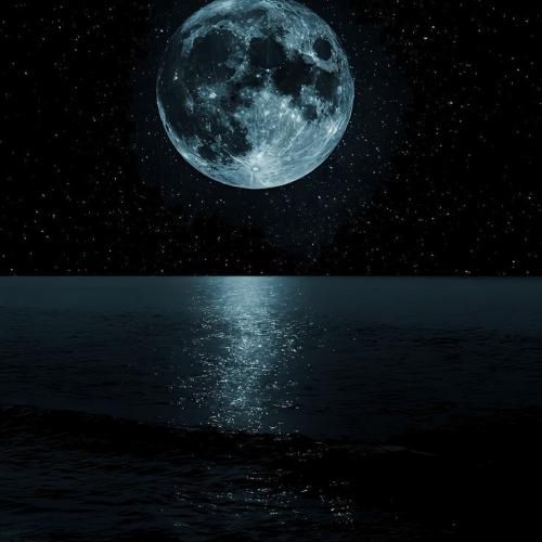 دور هم جمع شیم تک خوری کار ما نی