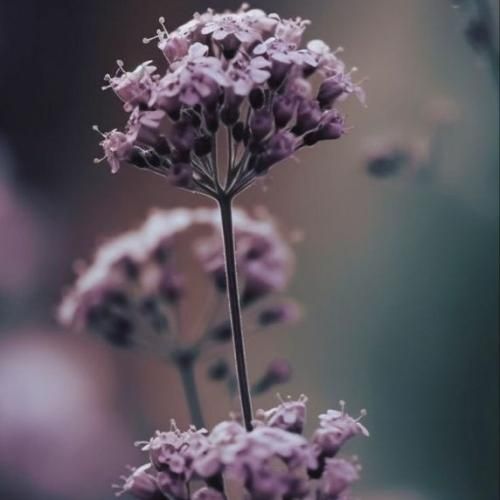 شدم تو زیباییش غرق غمش منو