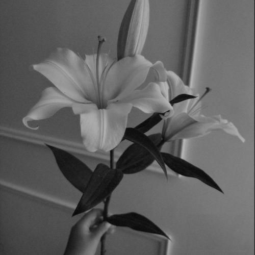 یبار میگم و دیگه نه شما تکون نمیخوری از پیش من