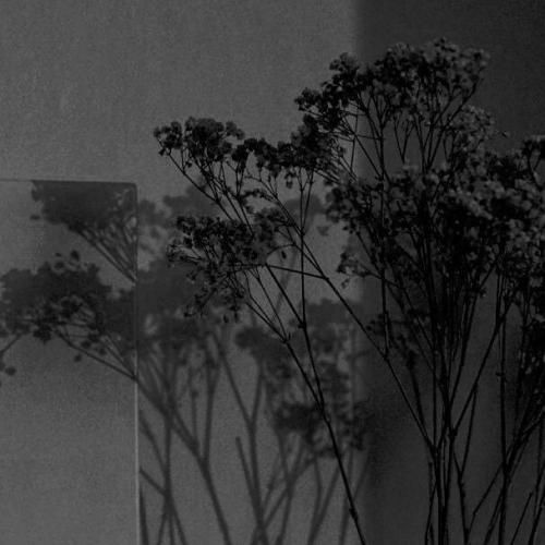  مو سوختم مو برشتم دیدم اکسپلور فرندم