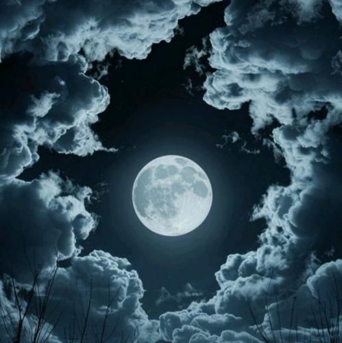  کاری کردی با دلم من نرمال بودم تا یه شب