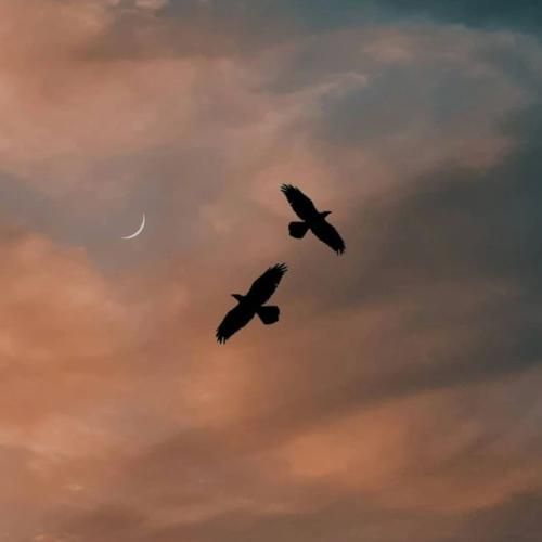  افغانی تـو اگر از دل ما خبر نداری مـیلش