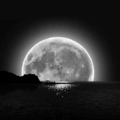 بگو چی اومد سر اون پسری که صداش زدم بابایی