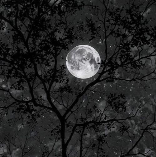  یه دفه دیگه میخوام از اول شروع کنم فراموش کنم اصن غم تو رو