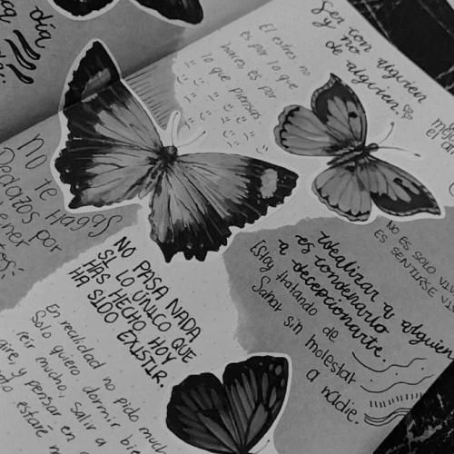  میگن این زندگی تهش هیچ چیزی نیست