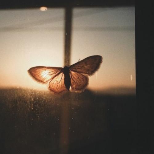 دل شکسته که دل نمیشه بی وفا با صدای بچه