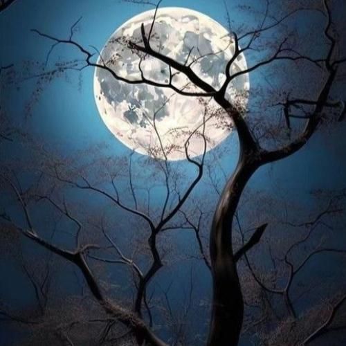  تو کارگاه من که پر تنه و خواستم از لحظه های زندگیم مجسمه بسازم