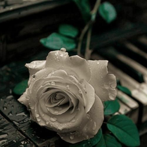  قصه های تازه توی این فصل از سرما تو مرزهای آلوده به وهم