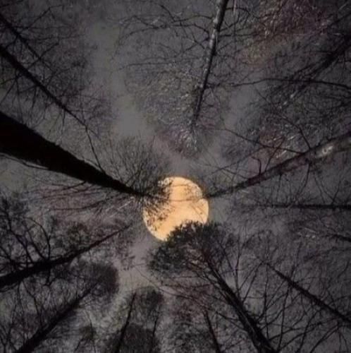  من تو و این حال بد پیشمه خاطرت قول میدم ایندفعه داره فرق