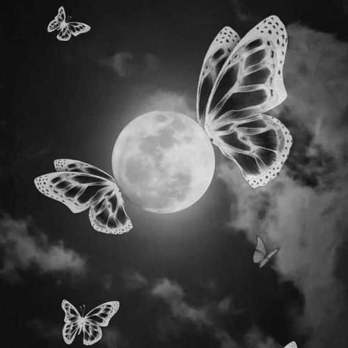 نشسته روی نیمکت یه پارک شهر خالیو گوش به زنگ