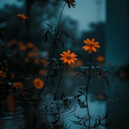 دشی جز غم تو هیچیو حس نمیکنم