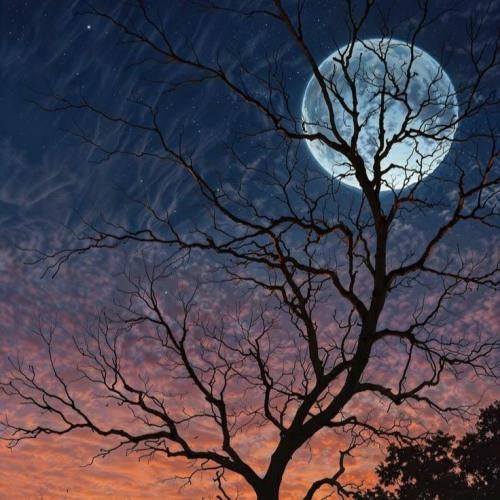  سریع قلبت شکست کی قد من درکت میکرد