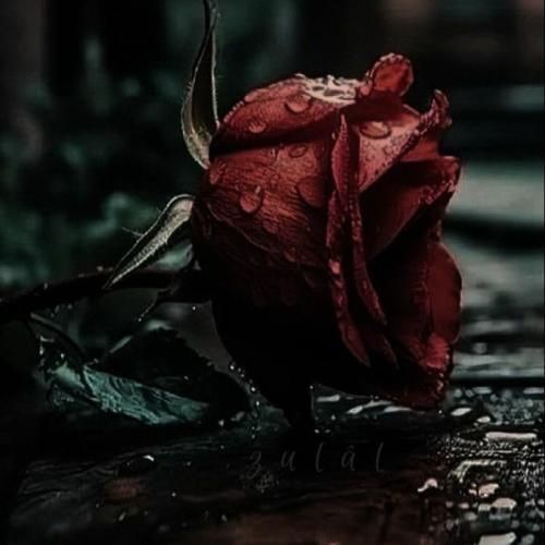 تیکه پاره تر از این گلای پرپرم تو کدوم از این گلایی