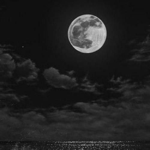  میخوام به جای دنیا دور سرت بگیردم به عشق تو یه شهرو دیوونه خونه کردم