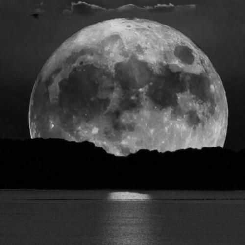  دور سرت بگردم شدی بلای جونم