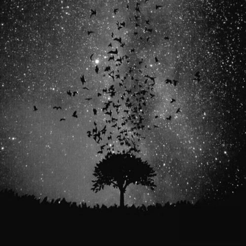  آخه مگه فرشته هم رسم شکستن بلده