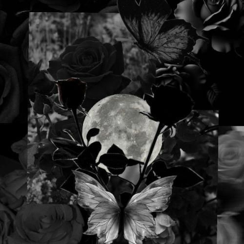  تک تک تکستام سبز میشه دوری از من دنیام بد میشه