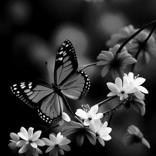  ترکی رویاهام رو بهم پس بده بقیش همش پیش خودت بمونه