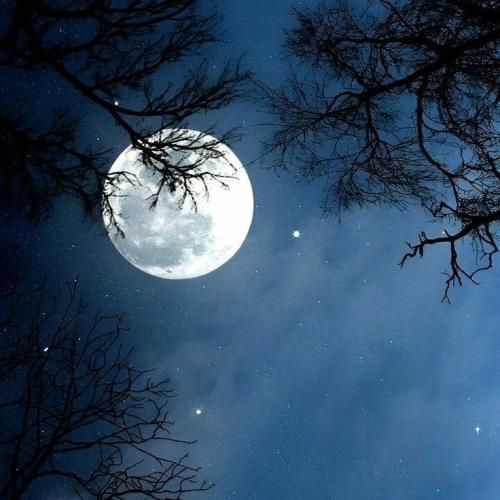 دل من شده شعله ور برات ذهنم شده پر از ادات