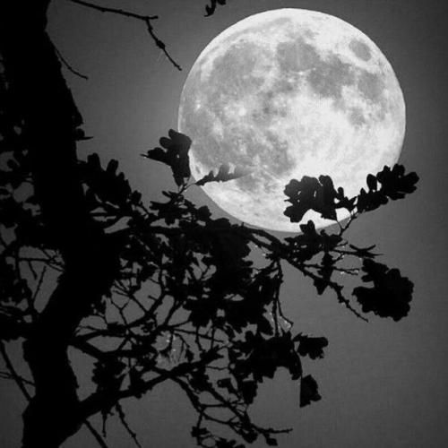  پس چرا قشنگ زدن به ریشه چرا حال من خوش نیو