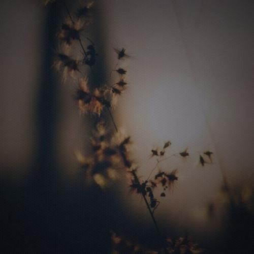  من از تو میگم چون دلت پاکه تو معنی خوبیو میفهمی با صدای عقیلی