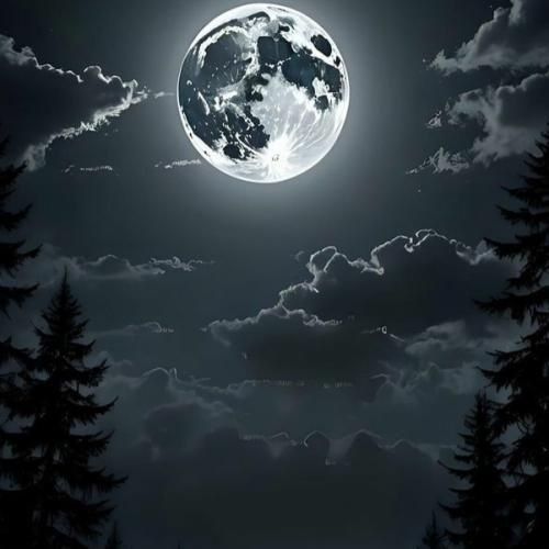  به جز مرگ که بی سایه است این جهان نمادین انعکاس سرمایه است