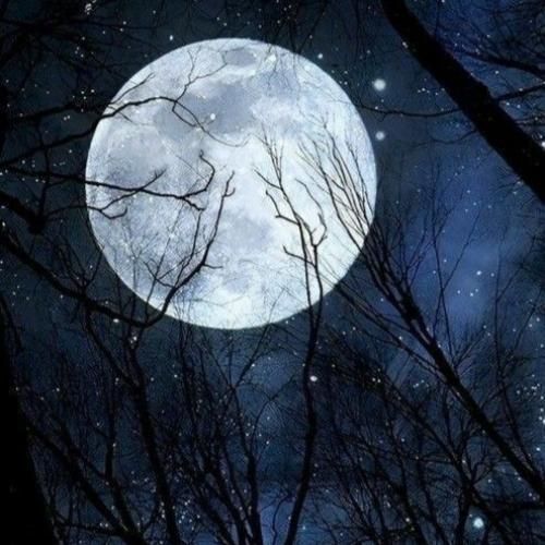 سمیرا کارزان دلم تنگه