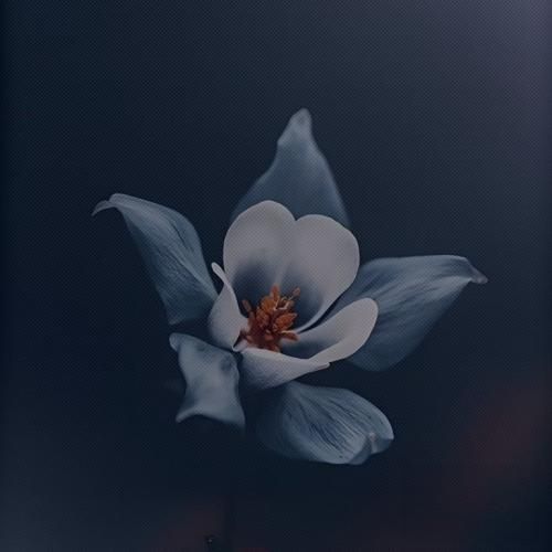 خارجی بهت اجازه دادم زخمم بزنی فقط برای اینکه ببینی چطور