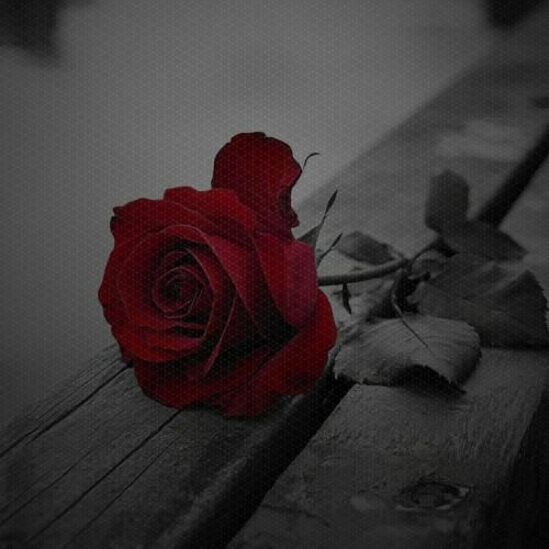  این ماه قرمز داد به ما دوتا حس عاشقمون کرد