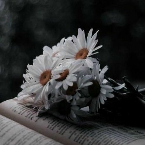 نرو لج نکن باهام بد نشو نگو گوش نمیدی دیگه حرفمو