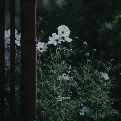  یجوری عاشقت میشم صداش دنیارو برداره هوش مصنوعی