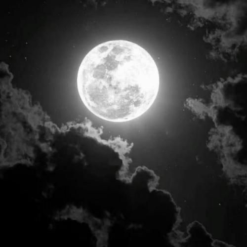 سر میدم آواز قو تموم شده داستانمون رفت توو غصه ها جاودانه موند