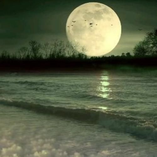 گفتم بابای پولدار ندارما میتونی گفتی اره میتونم دیدی نتونستی