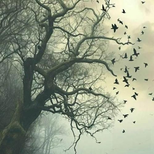 لمیس کان مسیطره